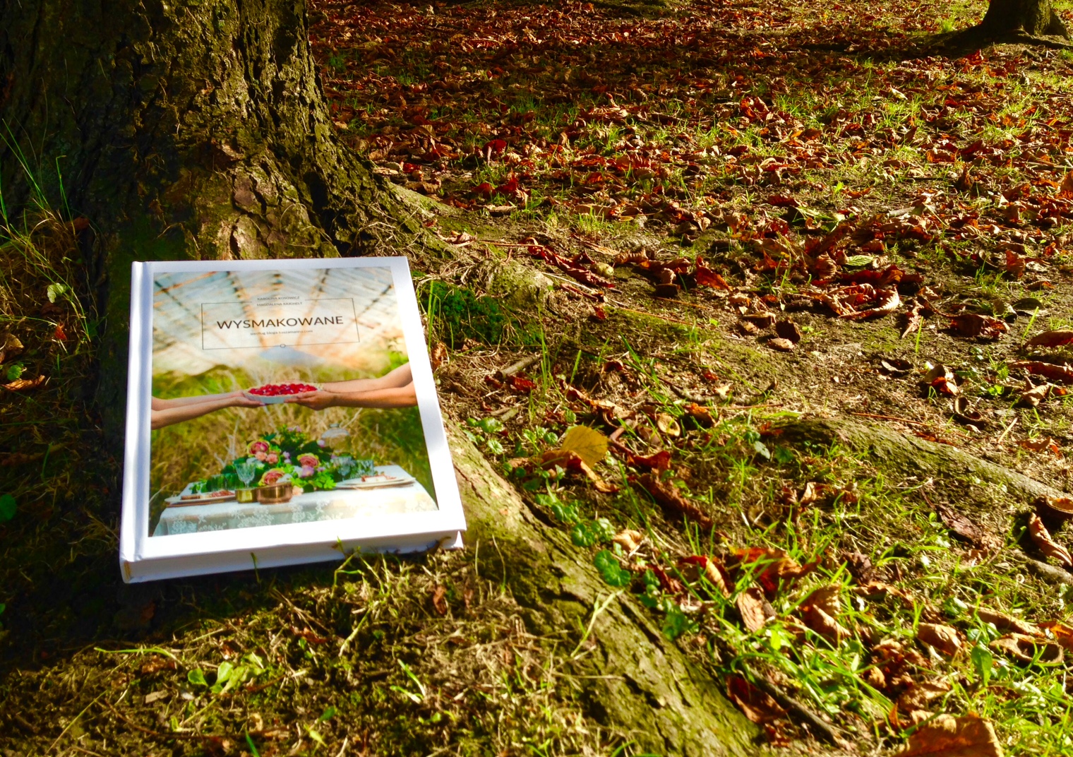 Do kuchni tylko z tymi książkami!