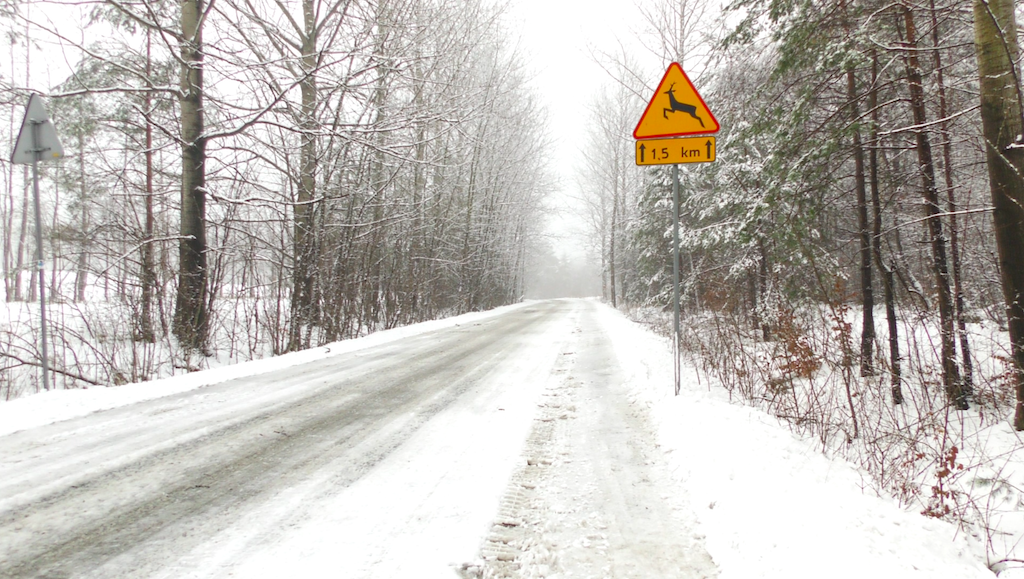 Bukowce, czyli miejsce, które nie istnieje