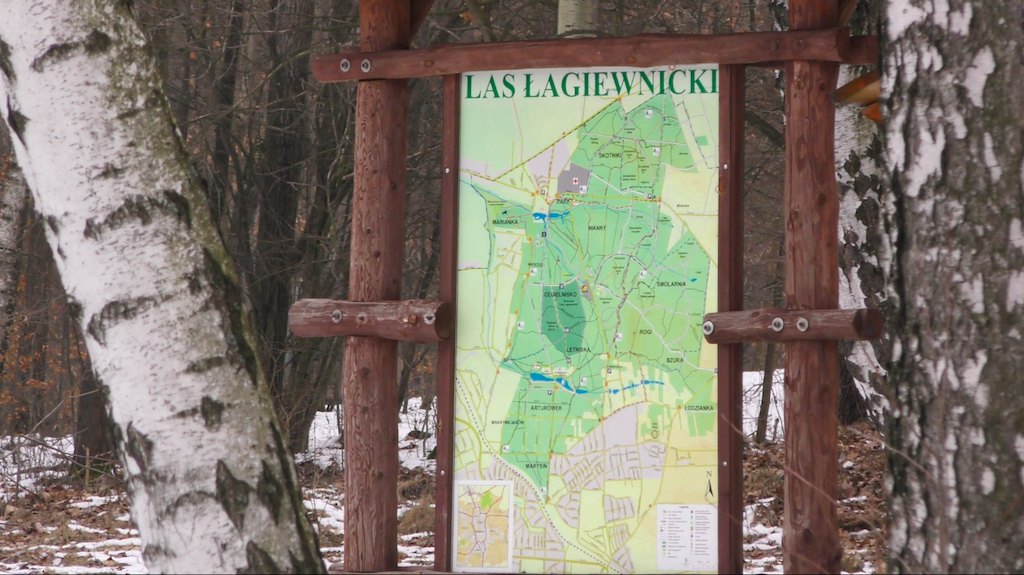 Druga część trylogii łódzkiej, czyli fragment „Transu” Krzysztofa Domaradzkiego