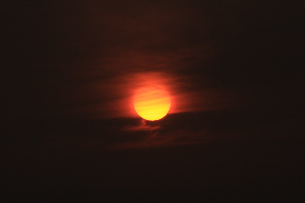 „Czerwony świt”- fragment najnowszej książki Jędrzeja Pasierskiego